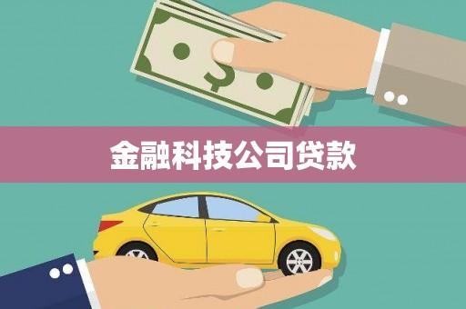 红山金融科技公司贷款
