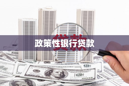 红山政策性银行贷款