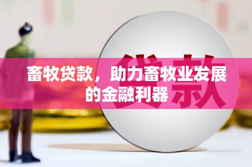 红山畜牧贷款，助力畜牧业发展的金融利器