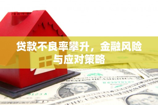 红山贷款不良率攀升，金融风险与应对策略