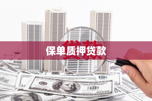 红山保单质押贷款