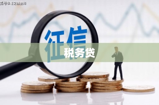 红山税务贷