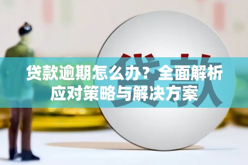红山贷款逾期怎么办？全面解析应对策略与解决方案