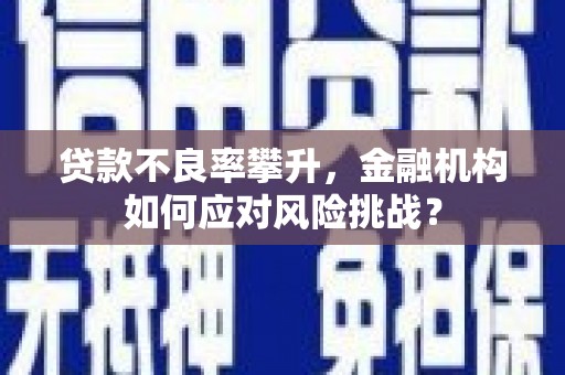 红山贷款不良率攀升，金融机构如何应对风险挑战？