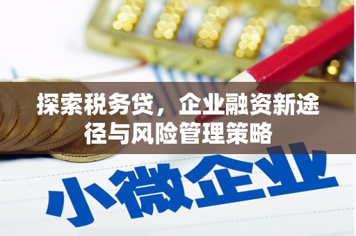 红山探索税务贷，企业融资新途径与风险管理策略