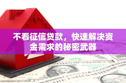 红山不看征信贷款，快速解决资金需求的秘密武器