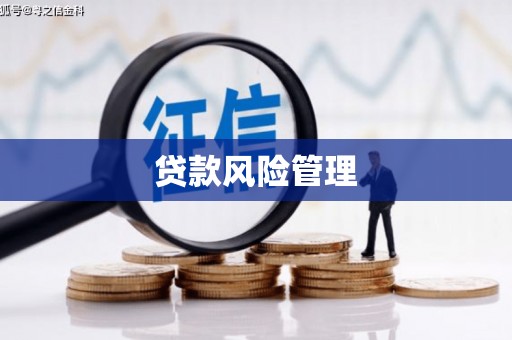 红山贷款风险管理