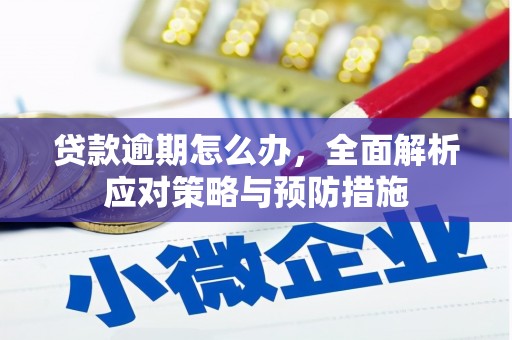 红山贷款逾期怎么办，全面解析应对策略与预防措施