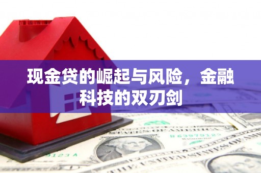 红山现金贷的崛起与风险，金融科技的双刃剑