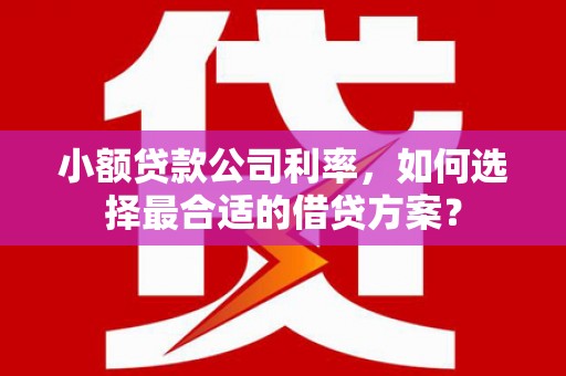 红山小额贷款公司利率，如何选择最合适的借贷方案？