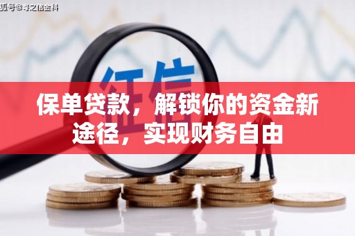 红山保单贷款，解锁你的资金新途径，实现财务自由
