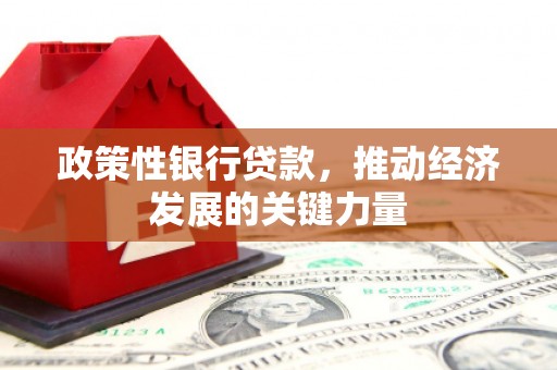 红山政策性银行贷款，推动经济发展的关键力量