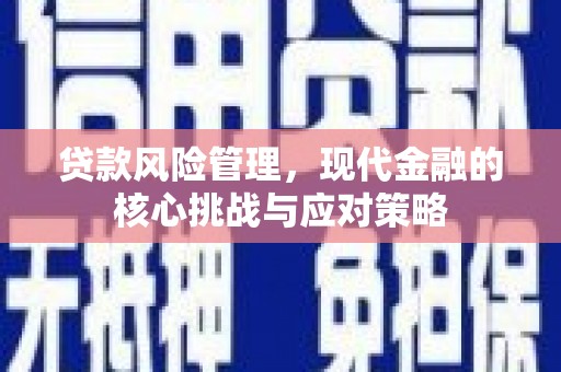 红山贷款风险管理，现代金融的核心挑战与应对策略