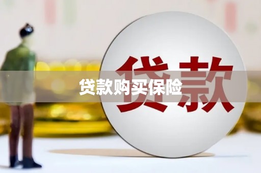 红山贷款购买保险
