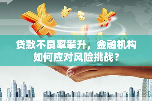 红山贷款不良率攀升，金融机构如何应对风险挑战？