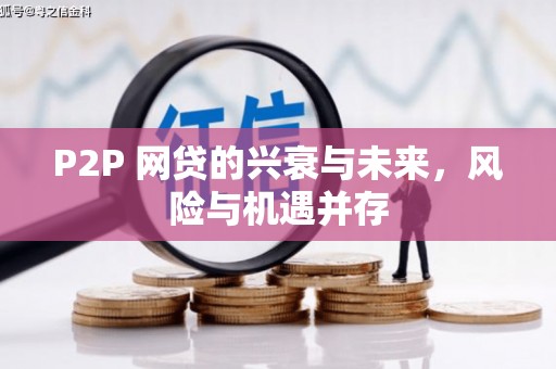 红山P2P 网贷的兴衰与未来，风险与机遇并存