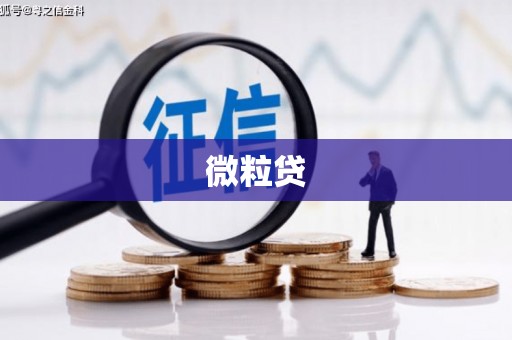 红山微粒贷